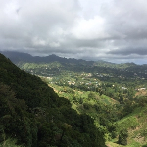   Hill views at Belmont Viewpoint, a stunning spot close to our peaceful resort in Kotagiri.