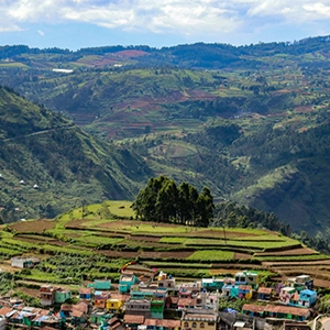 Enjoy panoramic views of lush greenery and hills at Green Valley View Point near De Castle Coonoor