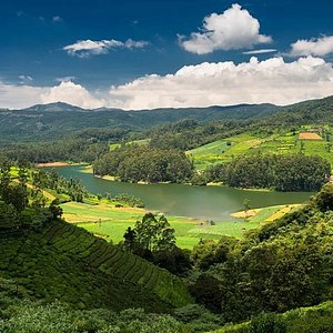Enjoy scenic valley views and peaceful nature at Hidden Valley View Point near De Castle Villa Coonoor