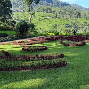 Enjoy stunning hill and tea plantation views from Kattery View Point near De Castle Villa in Coonoor