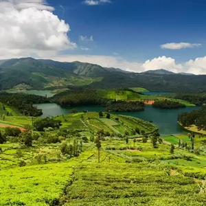 Kodanad View Point Kotagiri – Scenic Spot Near Rico Retreat Explore Kodanad View Point near Rico Retreat Kotagiri, famed for panoramic views of the Nilgiri landscape.