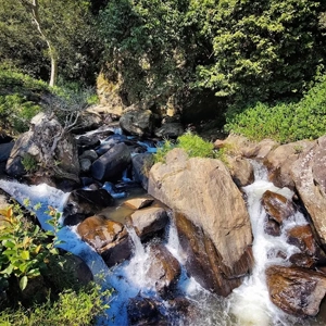 Explore Kolikarai Waterfalls Near Rico Retreat Kotagiri Visit Kolikarai Waterfalls near Rico Retreat, a quiet and scenic nature spot ideal for a peaceful getaway