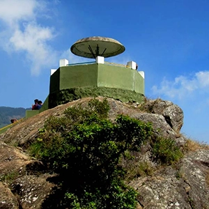 Explore Sim’s Park near De Castle in Coonoor with 1,200+ plant species and peaceful walking paths