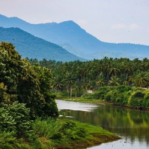 Mettupalayam View Point Near Rico Retreat Kotagiri Capture stunning valley and Blue Mountain views at Mettupalayam View Point near Rico Retreat Kotagiri