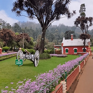 Visit Ooty Botanical Gardens near Shantiniketan to see exotic plants, vibrant flowers, and rich heritage