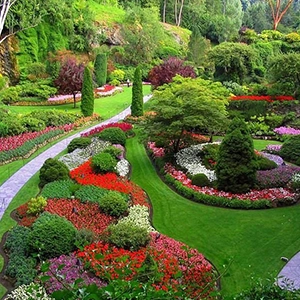 Explore rare plant species and historic landscapes at Ooty Botanical Gardens near De Castle Villa Coonoor