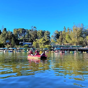 Ooty Lake near Rayne Forest Kotagiri offers boating and scenic views surrounded by eucalyptus groves