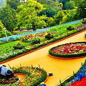 Explore thousands of rose varieties at Ooty Rose Garden, perfect for romantic walks near De Castle Coonoor