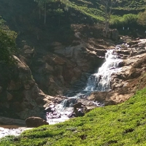 Relax by the Quin Water Falls, where clear streams and natural beauty await near our quiet resort in Kotagiri.