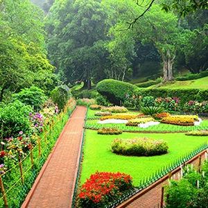 Explore Sim’s Park near Shantiniketan Resort in Coonoor with 1,200+ plant species and peaceful scenery