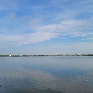 Spend time at Singanallur Lake near Farmhouse, Sulur for birdwatching, walks, peaceful nature views.