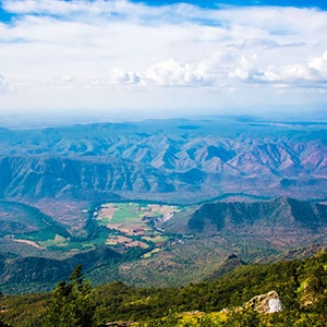 Thengumarada View near Rayne Forest Kotagiri is perfect for birdwatching and scenic nature drives