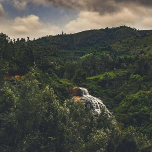 Enjoy Uyilatty Falls While Staying at Greendale Admire lush waterfalls and greenery, then return to your cozy stay at Greendale Homestay Kotagiri.