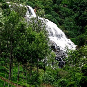 Uyillati Waterfalls near Rayne Forest Kotagiri is a hidden forest spot ideal for hikers and nature lovers