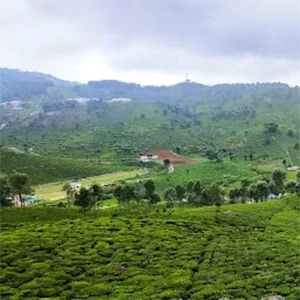 Visit Vyas Views Near Greendale Villa Stay Take in stunning Nilgiri hills, snap photos, then come back to calm comfort at Greendale Homestay.