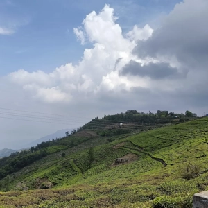 Vyas Viewpoint Near Rico Retreat for Peaceful Hill Views Visit Vyas Viewpoint in Kotagiri, 8.2 km from Rico Retreat, ideal for photography, meditation, and views.