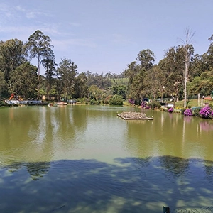 Enjoy peaceful walks and birdwatching at Wellington Lake near De Castle Villa in scenic Coonoor