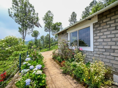 peaceful chalet walkway with lush garden views and green surroundings Chalet Mon Ami Resort Kotagiri