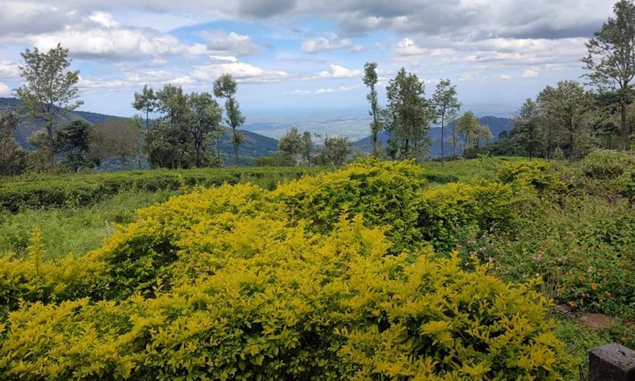 Enjoy breathtaking scenic views from a heritage stone villa stay at Rico Retreat in Kotagiri’s hills