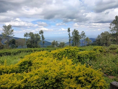 Enjoy breathtaking scenic views from a heritage stone villa stay at Rico Retreat in Kotagiri’s hills