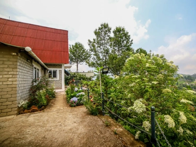 peaceful chalet walkway with lush garden views and green surroundings Chalet Mon Ami Resort Kotagiri